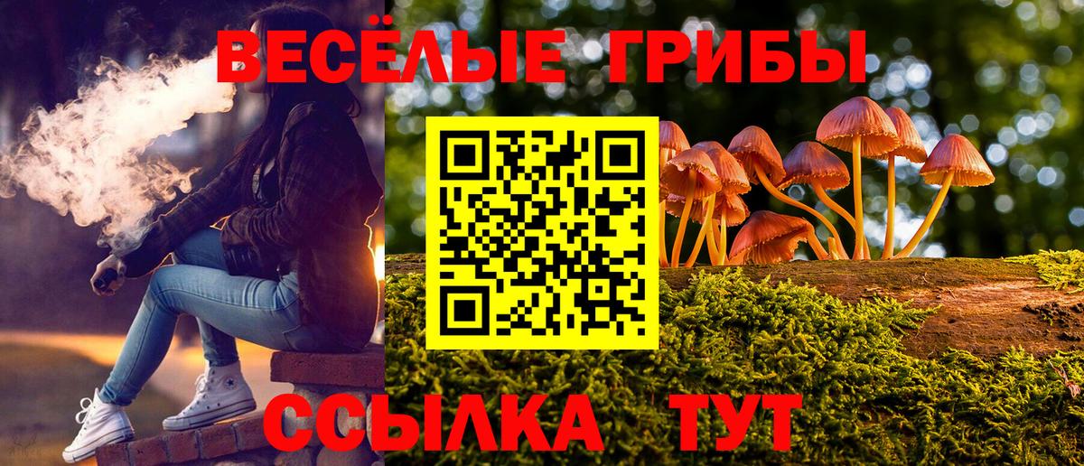 Галлюциногенные грибы Psilocybe Качканар