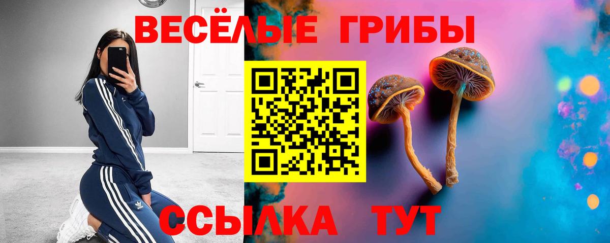 хочу   Вход с VPN  Качканар  Галлюциногенные грибы ЛСД 
